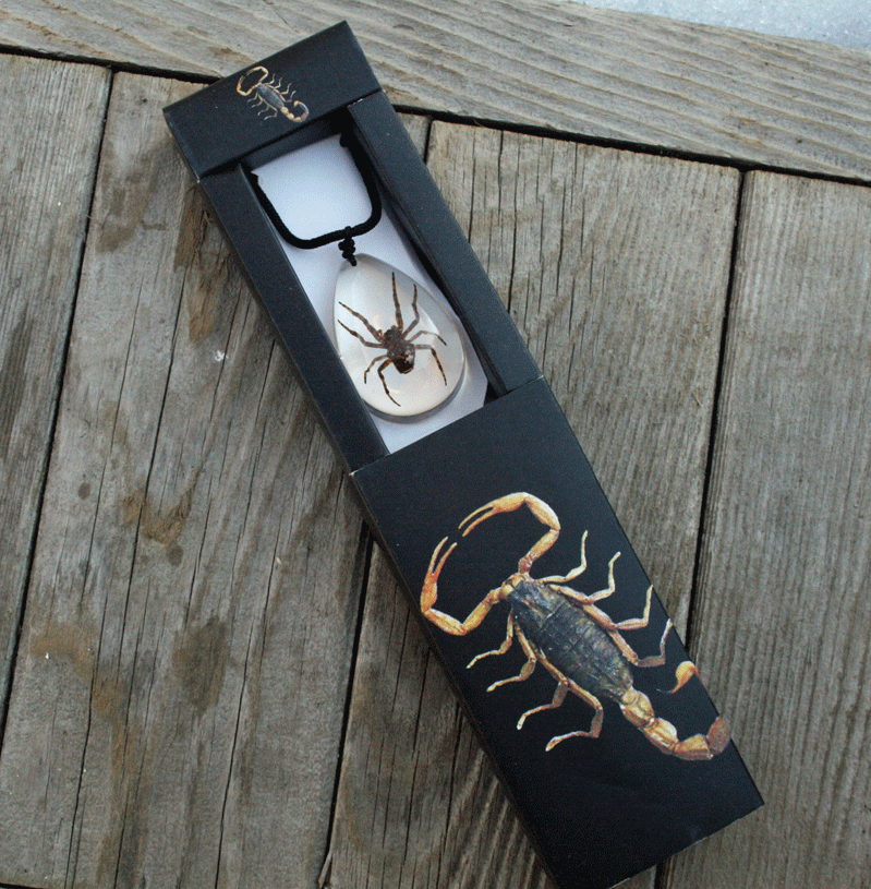 Genuine Wolf Spider Necklace in Lucite