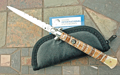 Custom 11" Campolin/AIK Picklock w/ Mammoth Molar & File Work