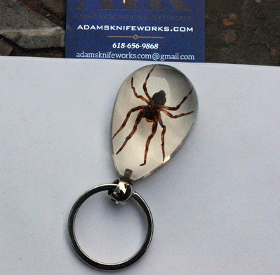 Genuine Brown Recluse Spider Keychain in Lucite