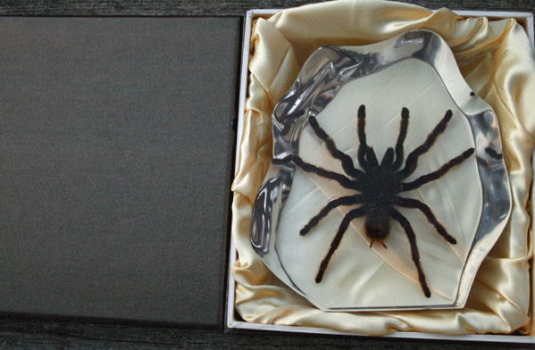 Extra Large Genuine Tarantula Paperweight Decoration In Lucite
