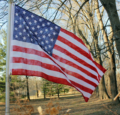 USA Flag United States Flag